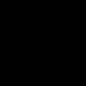 Meet your Posher, Elijah